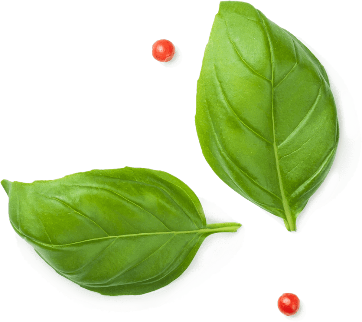 Busuioc
