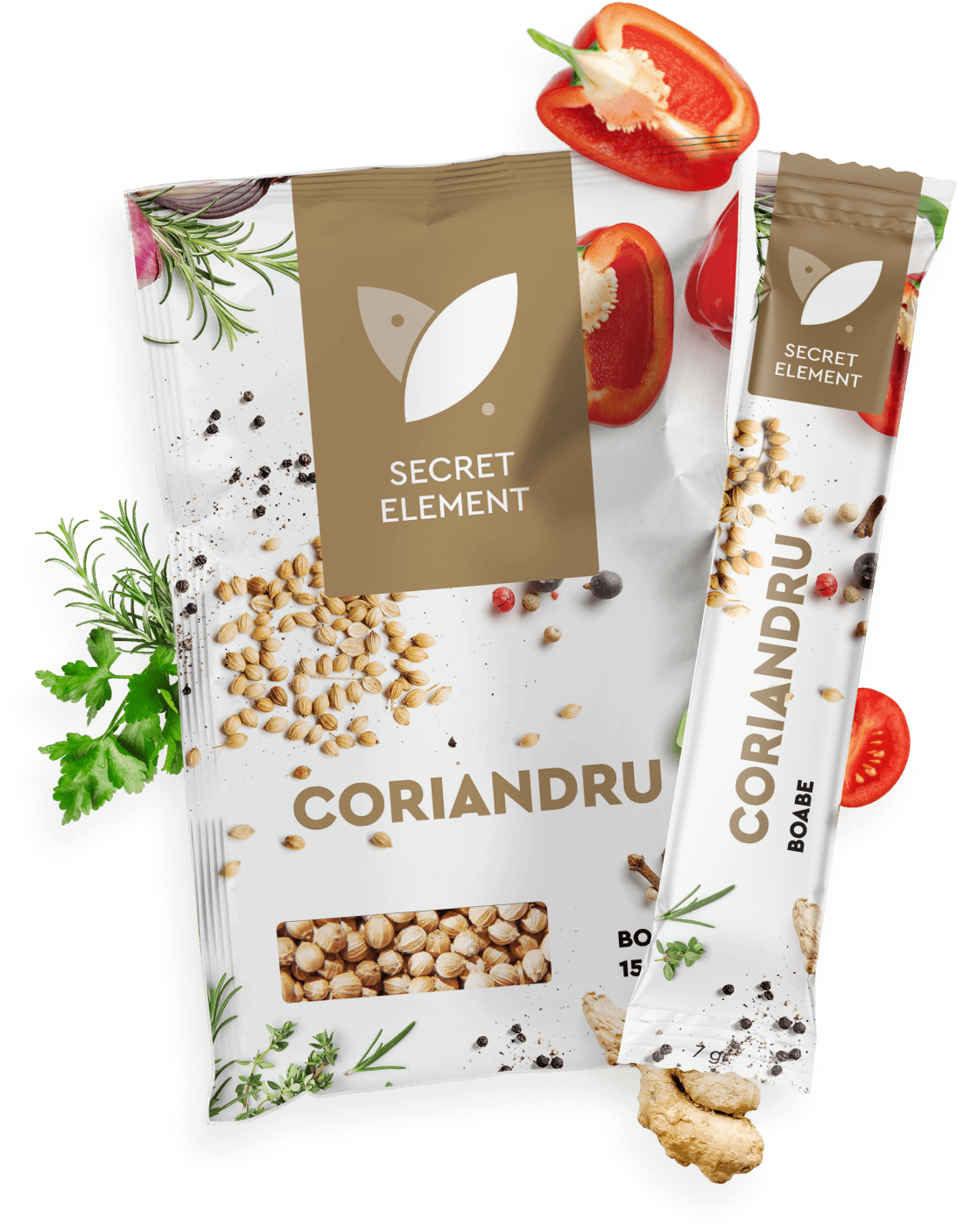 CORIANDER